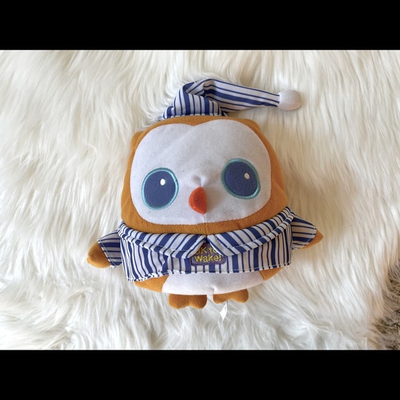 LIKE NEW! Ok to Wake Owl